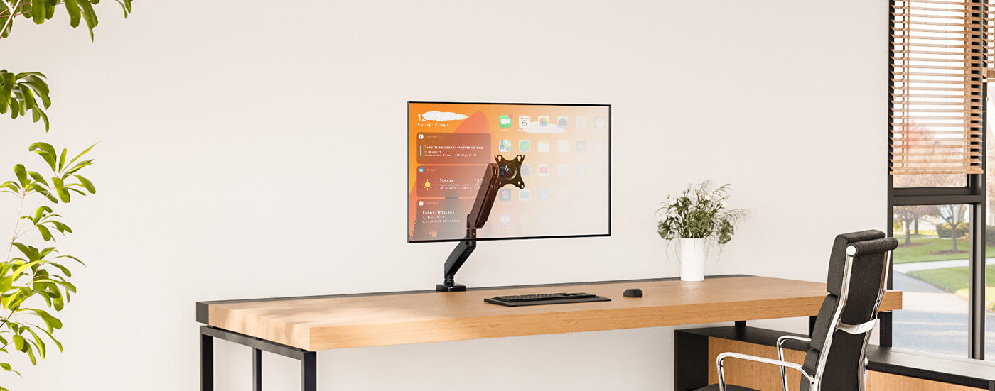 Single Monitor Mounts