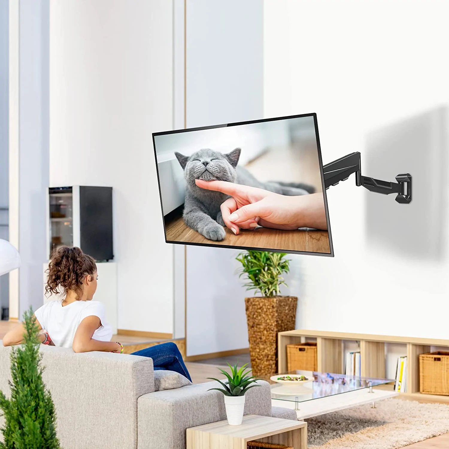 Mountup Monitor Wall Mount